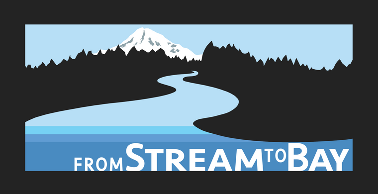 Logo with a river flowing from 'from Stream to Bay', surrounded by mountains and trees, on a black background.